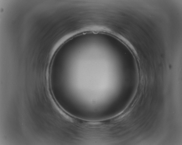 X0000086271343200704051259