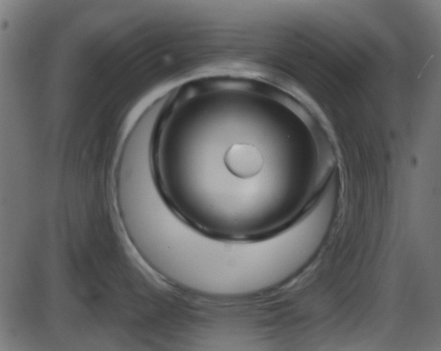 X0000086271344200704051300