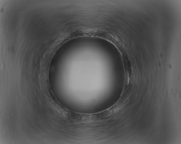 X0000086271345200704051259