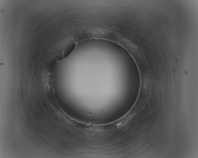 X0000086271346200704051259