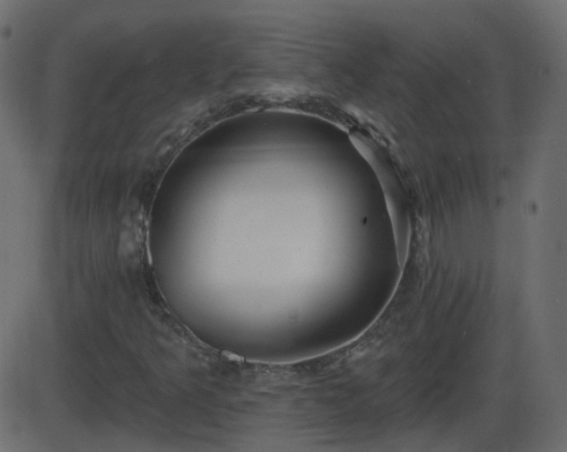 X0000086271349200704051259