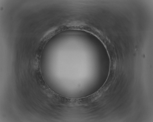 X0000086271350200704051259