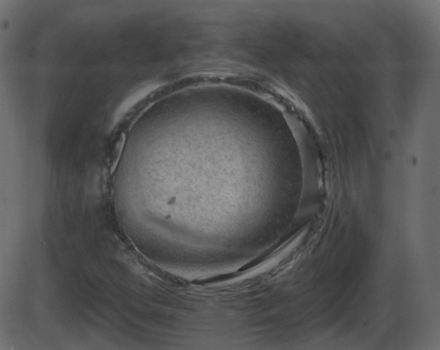 X0000086271352200704051259