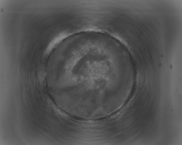 X0000086271359200704051258