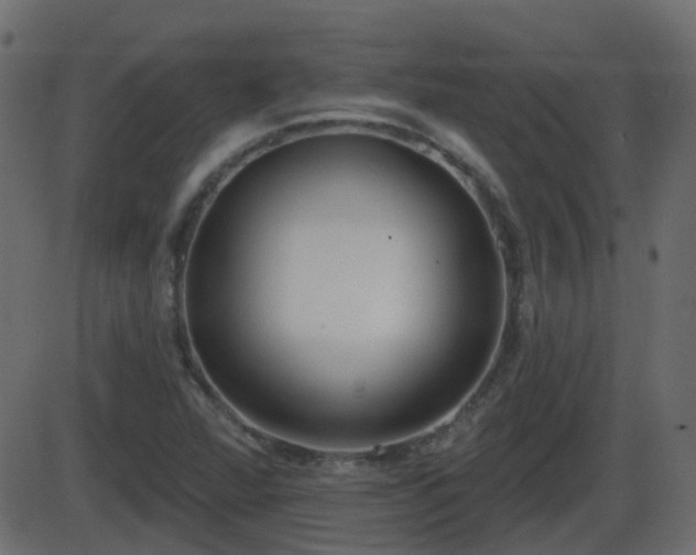 X0000086271360200704051258