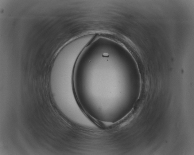 X0000086271361200704051258