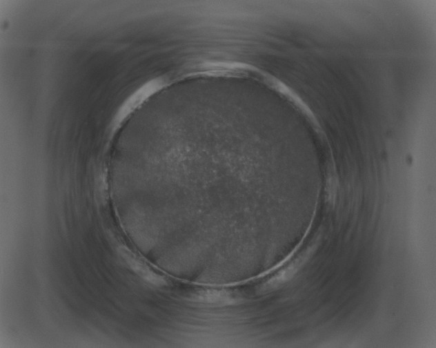 X0000086271362200704051258