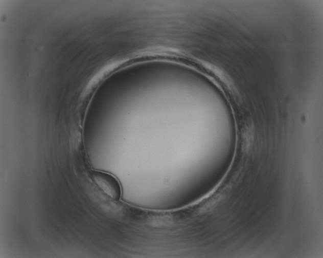 X0000086271363200704051258