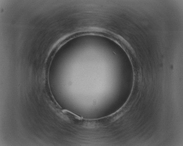 X0000086271364200704051258