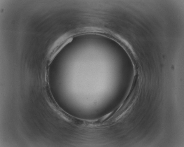 X0000086271365200704051258