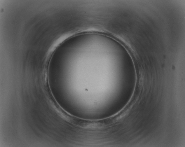 X0000086271367200704051258