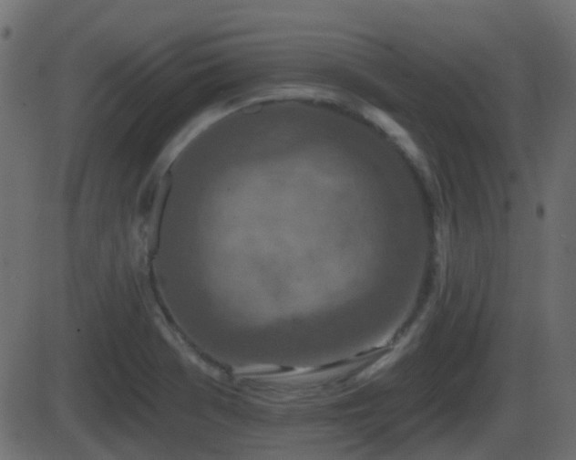 X0000086271369200704051258