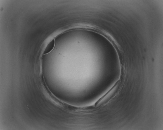 X0000086271371200704051258