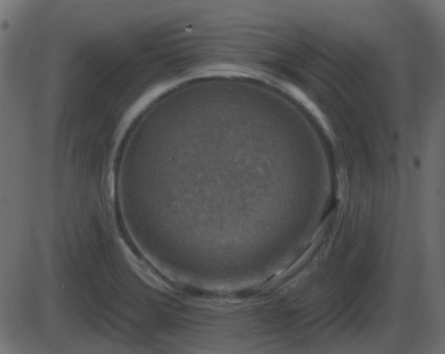 X0000086271372200704051258