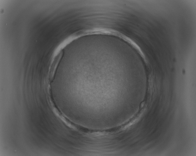 X0000086271373200704051258