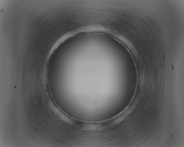 X0000086271374200704051258