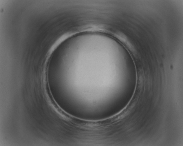 X0000086271375200704051258