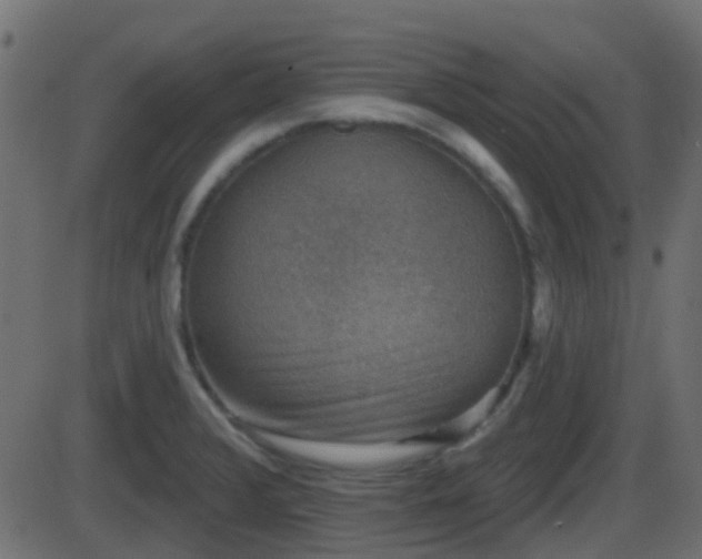 X0000086271376200704051258