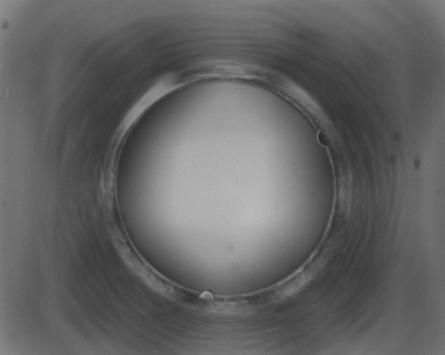 X0000086271378200704051258