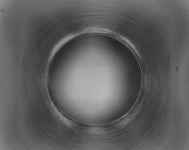 X0000086271379200704051258