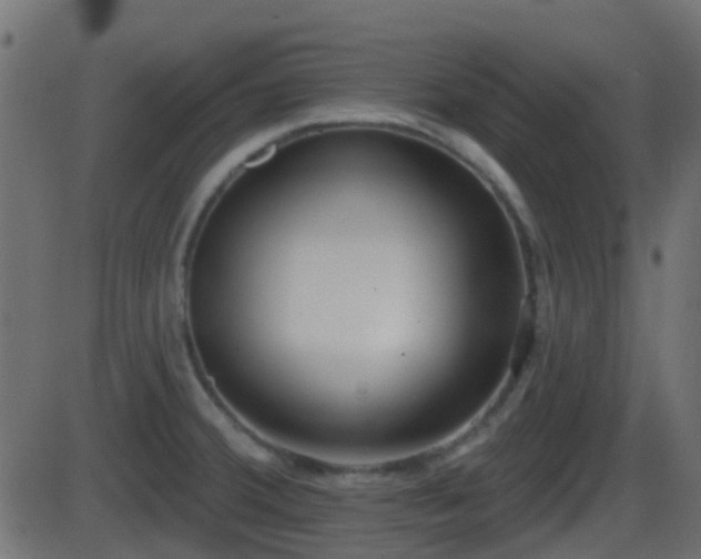 X0000086271380200704051258