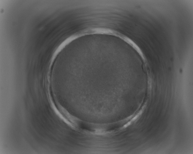 X0000086271381200704051258