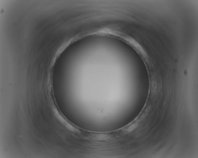 X0000086271382200704051258