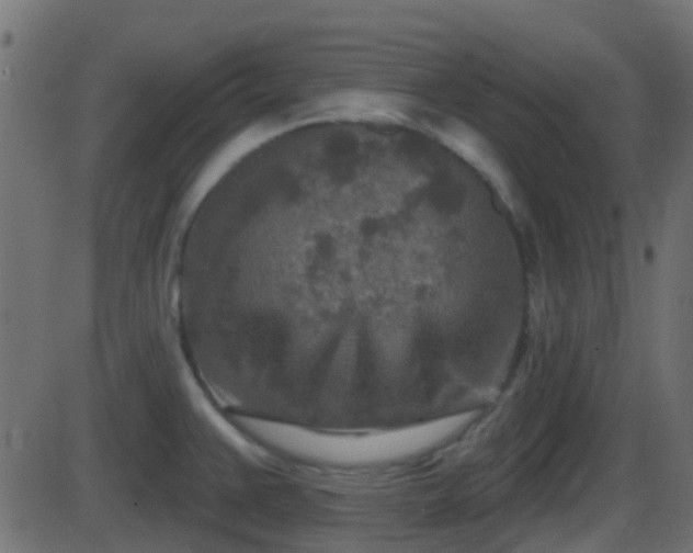 X0000086271383200704051258