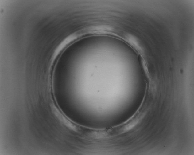 X0000086271384200704051258