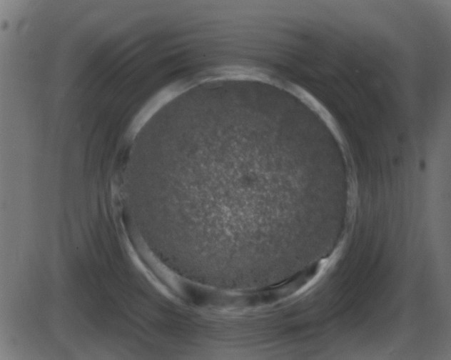 X0000086271385200704051258