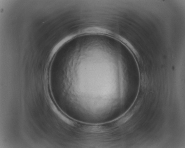 X0000086271387200704051258