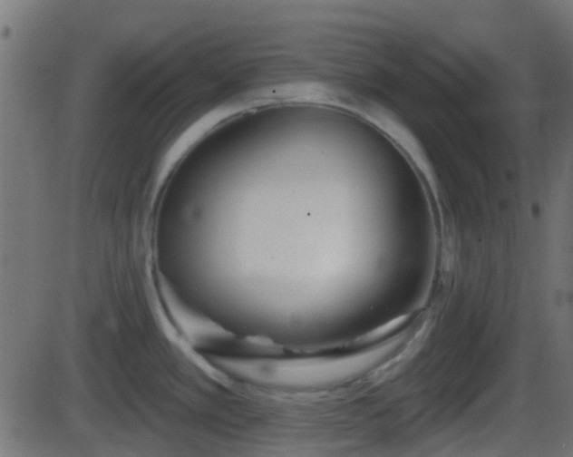 X0000086271389200704051258