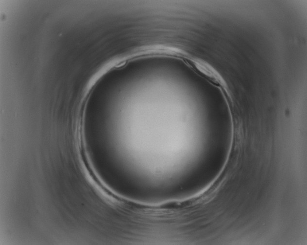 X0000086271391200704051258