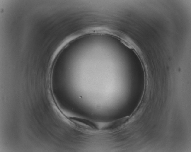 X0000086271392200704051258