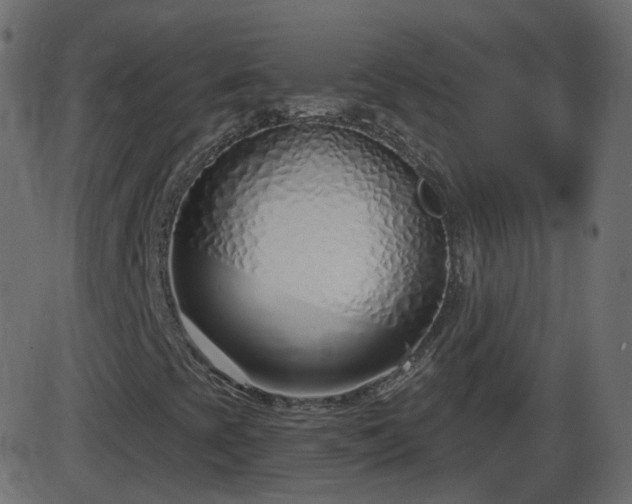 X0000086271393200704051257