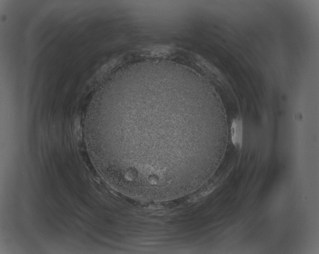 X0000086271395200704051257