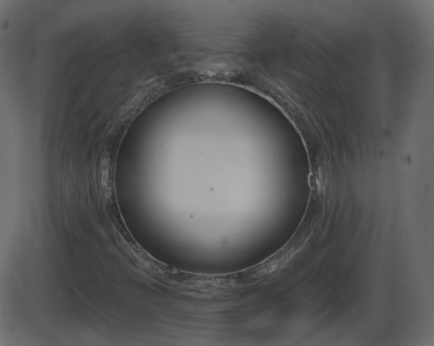 X0000086271396200704051257