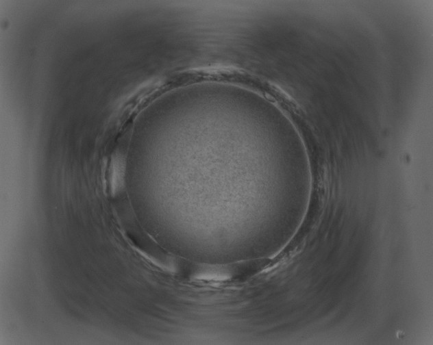 X0000086271398200704051257