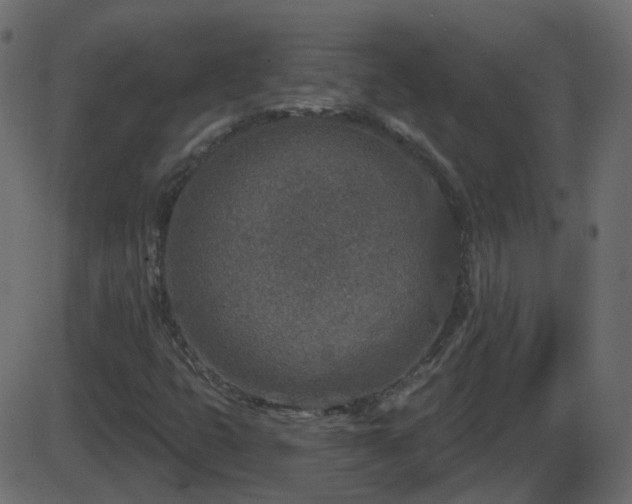 X0000086271399200704051257