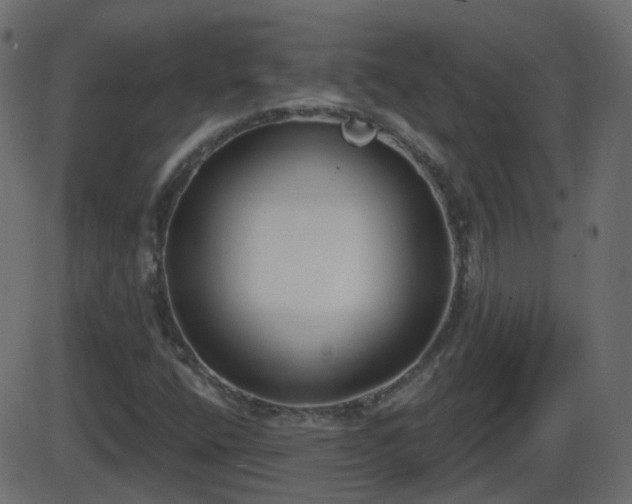 X0000086271400200704051257