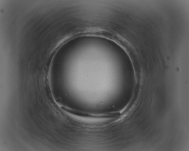 X0000086271401200704051257