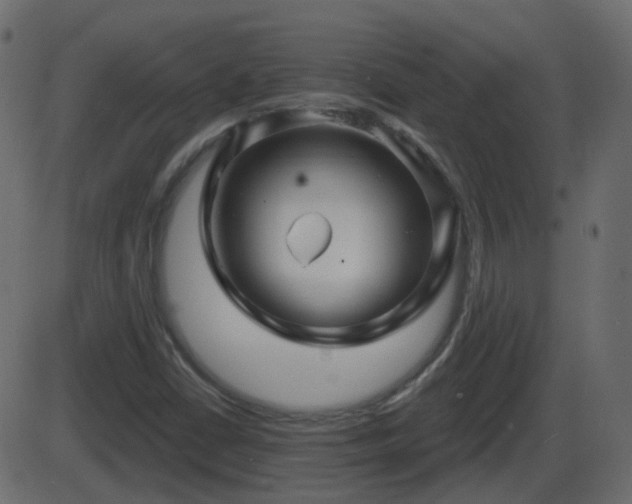 X0000086271402200704051257