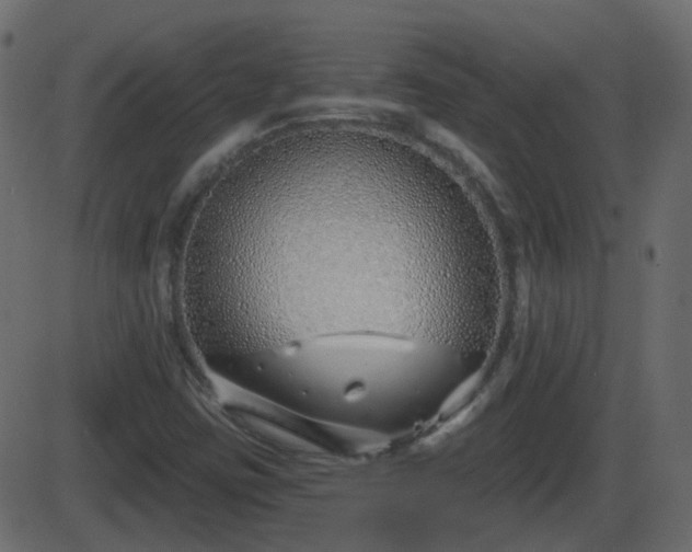 X0000086271403200704051257