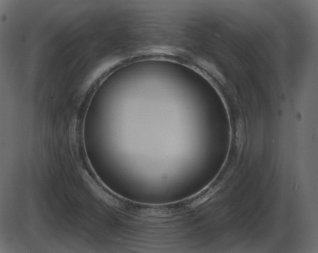 X0000086271404200704051257