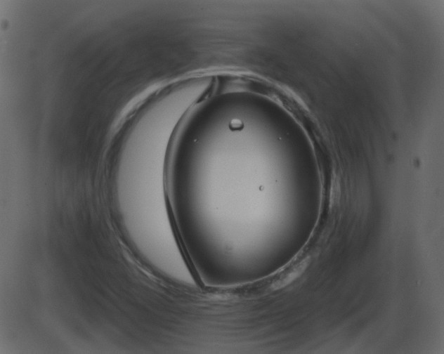 X0000086271406200704051257