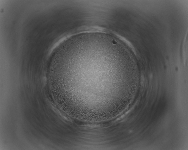 X0000086271407200704051257