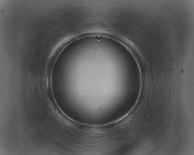 X0000086271408200704051257