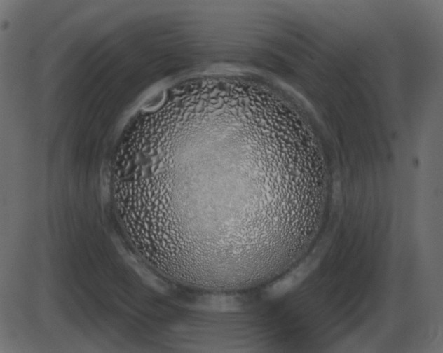 X0000086271409200704051257