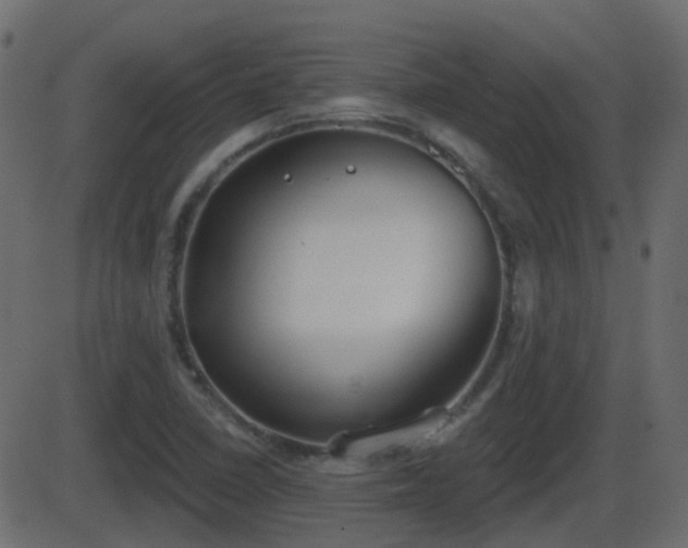 X0000086271410200704051257