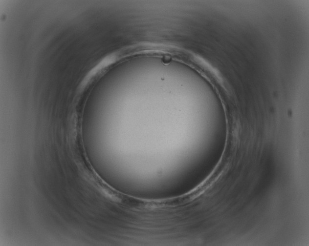 X0000086271411200704051257